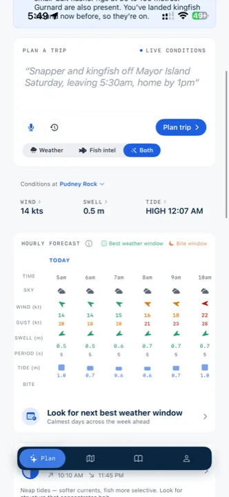 Hourly forecast with the best weather window and bite window highlighted